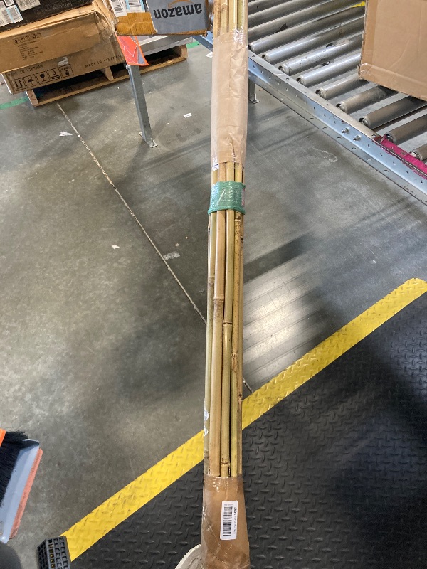 Photo 1 of 10 Bamboo Stakes