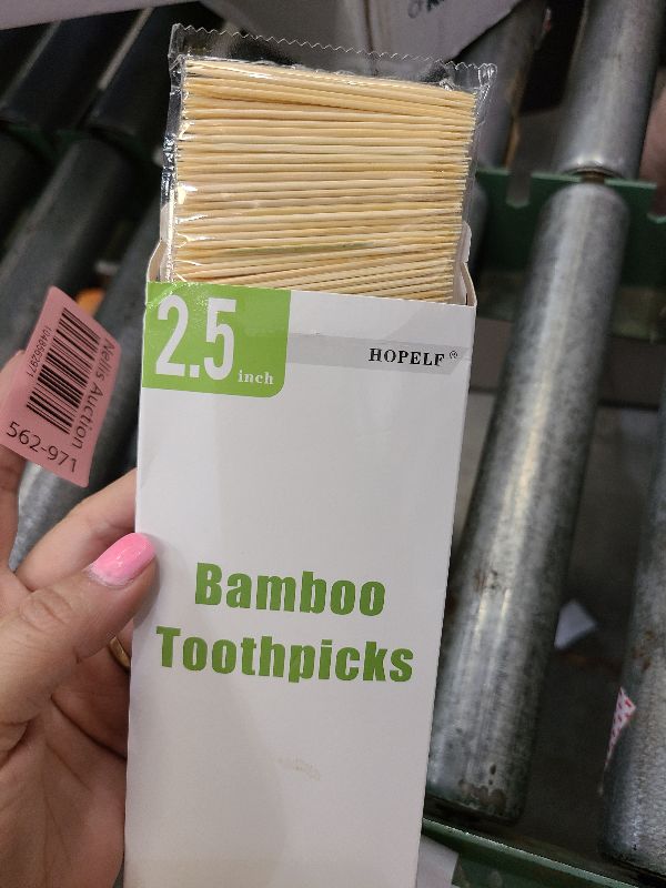 Photo 1 of 600 Count Bamboo Toothpicks for Teeth Cleaning, Appetizer, Olive, Barbecue, Fruit, Double-Points Wooden Toothpick.
