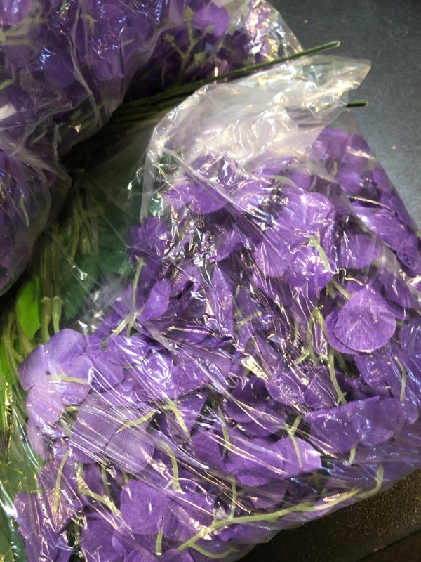 Photo 1 of 12 pak of wisteria flowers