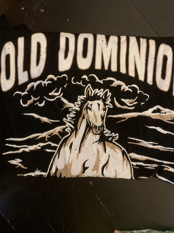 Photo 1 of
Visit the Silver Lake T-shirts Store
Custom T-Shirt with Your Image and Text Men Women Personalized add Your Text and Photo Tee Shirt