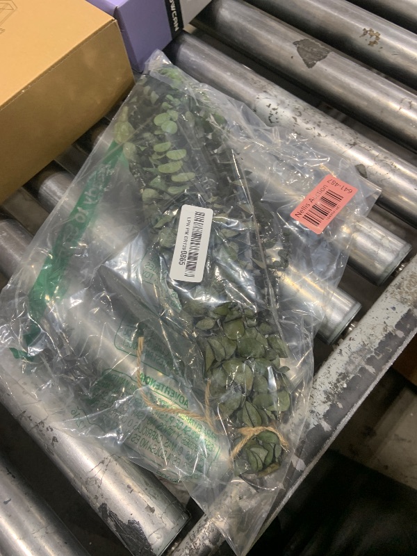 Photo 1 of 11 PCS Real Dried Eucalyptus Stem for Shower & Bathroom Decor - 17'' Large Natural Fresh Eucalyptus Leaves Hanging Plants, Shower Stuff Green Home Vase Decor, DIY