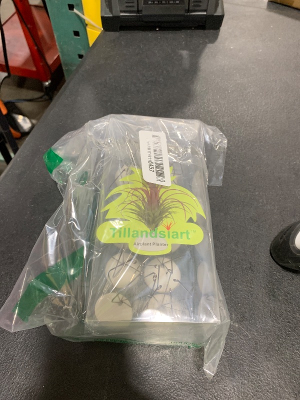 Photo 1 of Tillandsiart 10 Pack Wall Mount Air Plant Holder (Adhesive tape,Stainless Steel Tillandsia Air Plant Planter)A Unique Set of Air Plant Containers for Creating Tillandsias Art Display On Wall (Medium)