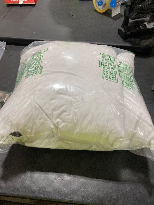 Photo 1 of Basic Home Pillows (set of 2)