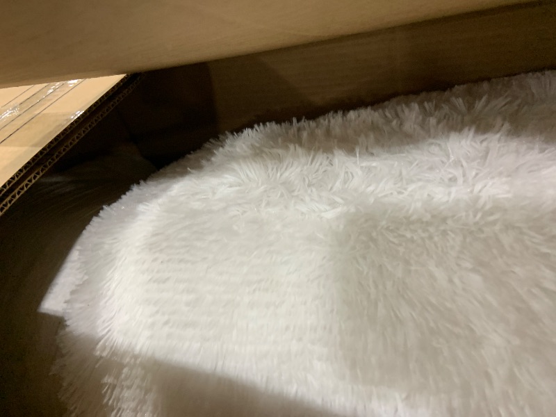 Photo 1 of Shag Area Rugs for Living Room 8X10 Ultra Soft Fluffy Area Rugs for Bedroom Dorm, Indoor Carpet Nursery Rugs for Kids Girls Room Home Decor,White