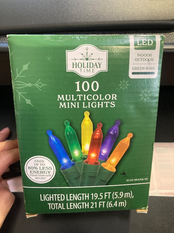 Photo 1 of 100 Multicolor Mini Lights 