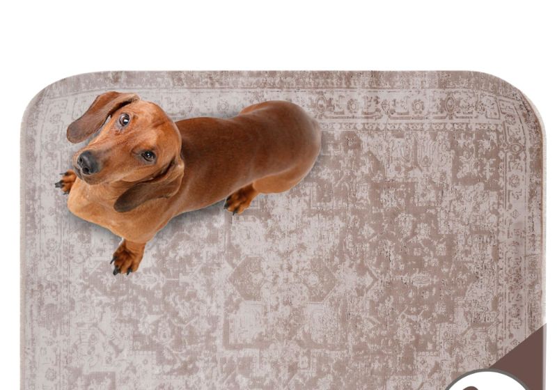 Photo 1 of PUPIBOO Washable Pee Pads for Dogs and Cats - Super Absorbent Reusable Puppy Training Pads - 100% Waterproof, Leak-Proof & Non-Slip Whelping Pads for Pet Housebreaking