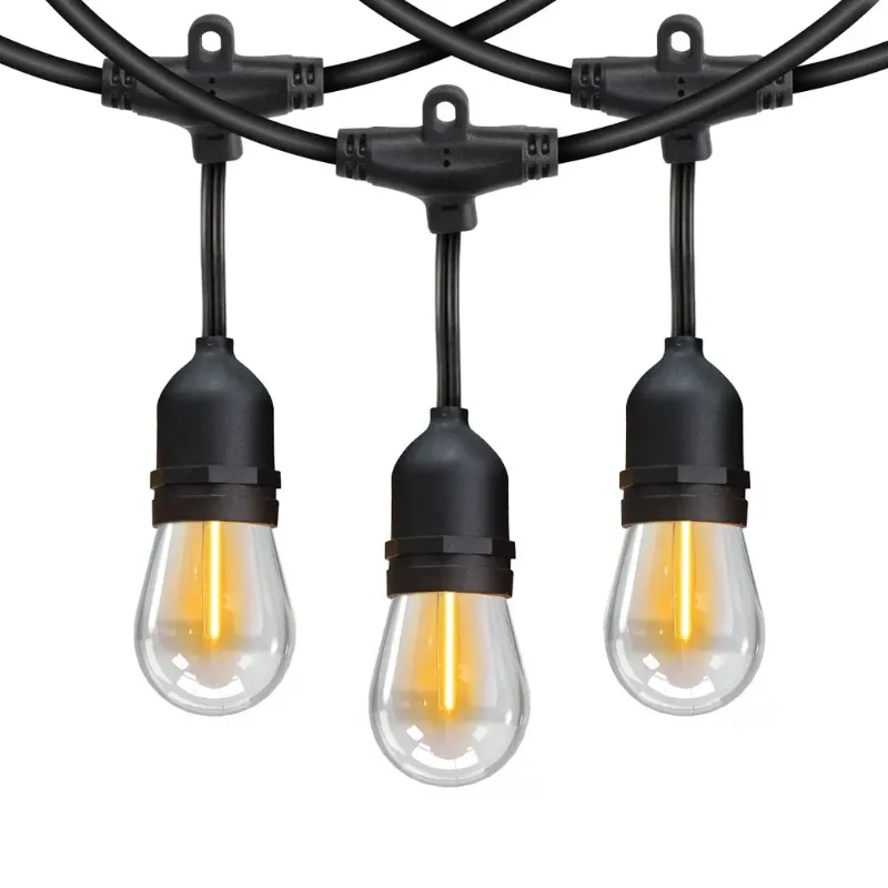 Photo 1 of Feit 48' LED String Light Non solar Includes 23 Screw Base LED Bulbs