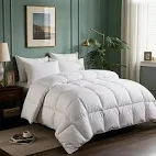 Photo 1 of Serta Luxurious Goose Feathers Down Fiber Comforter, king Size, All Season Warmth, White