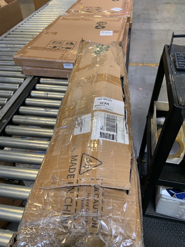 Photo 1 of
PLANT DECOR