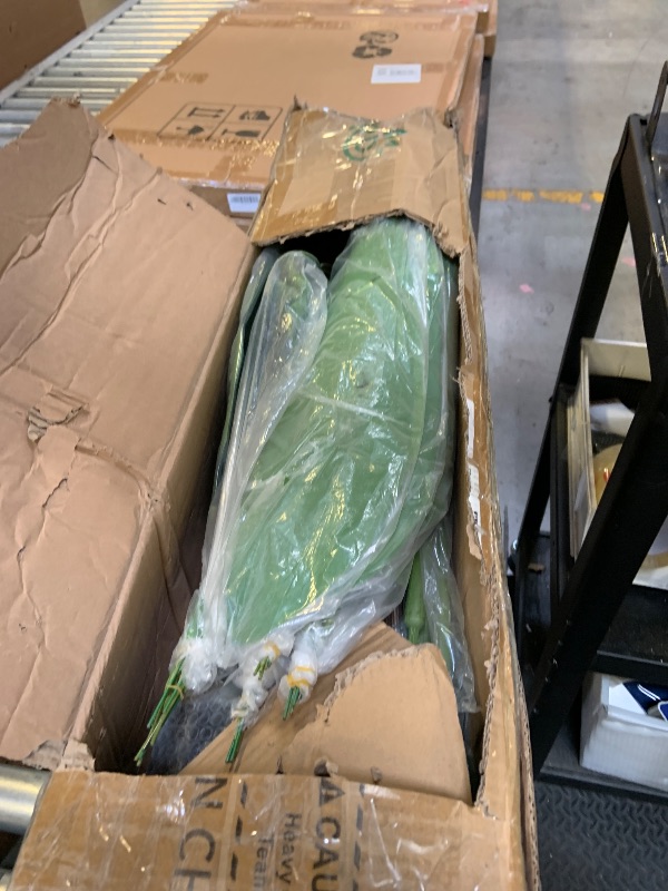 Photo 1 of
PLANT DECOR