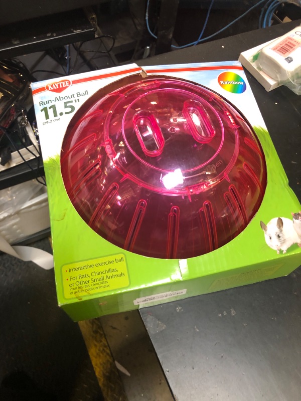 Photo 1 of Kaytee 11.5" Assorted Color Run-About Exercise Ball For Pet Rats & Chinchillas