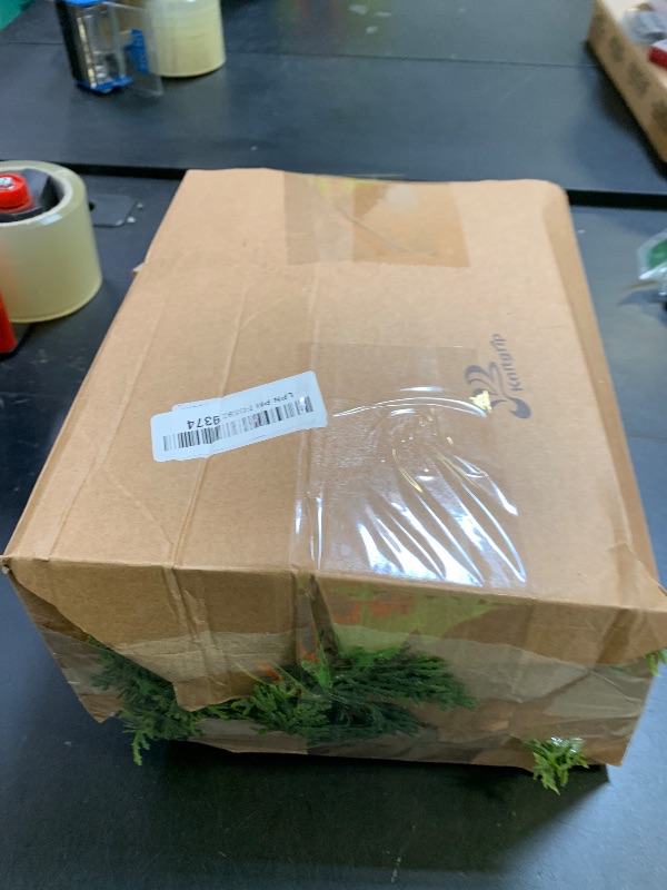 Photo 1 of Norfolk Pine Garlands