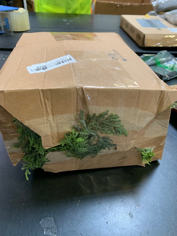 Photo 1 of Norfolk Pine Garlands