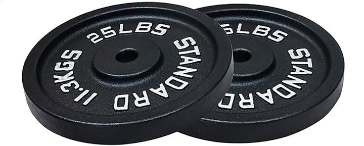Photo 1 of Cast Iron Standard Weight Plate, 25lbs, SINGLE