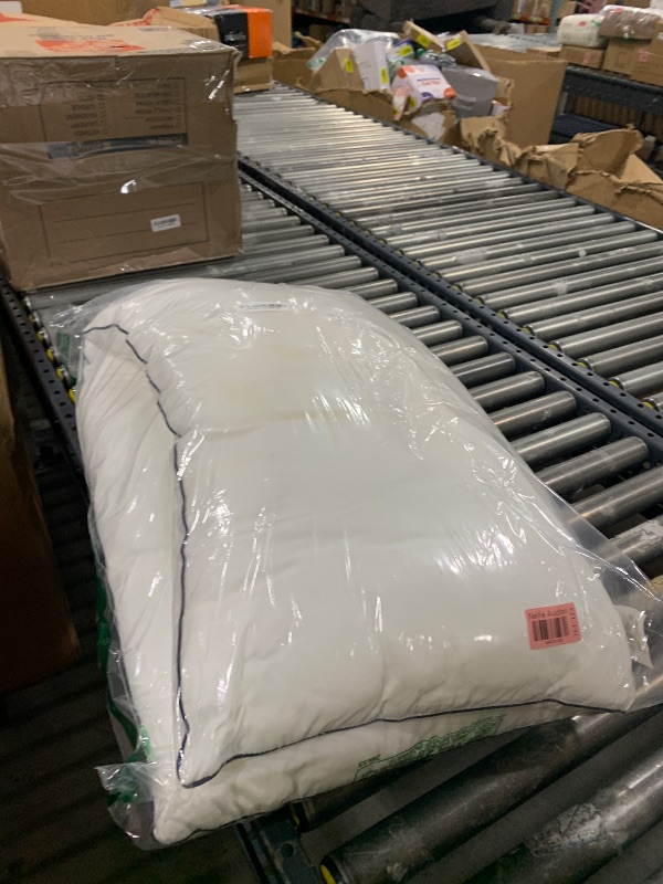 Photo 1 of LBRO2M Canadian Down White Goose Pillow 1050 Fill Power 80% Down Balance of Softness and Firmness King Down Pillows 100% Cotton Pillow Shell (20"X36", Set of 2)