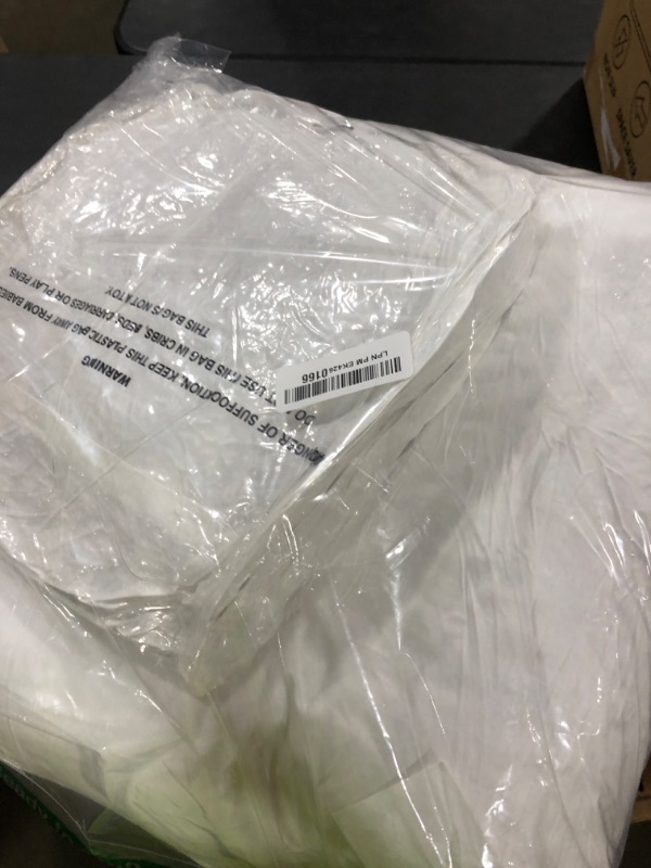 Photo 1 of Yesterday Home Set of 2-20x20 Throw Pillow Inserts-Down Feather Pillow Inserts-White