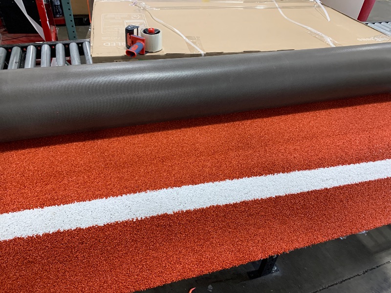 Photo 1 of Artificial rug unknown brand/size 