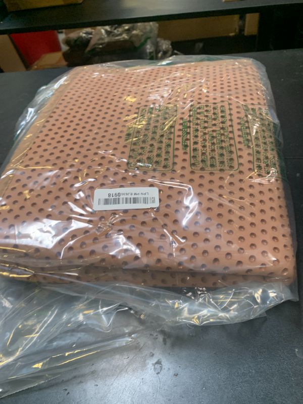 Photo 1 of Pieviev Cat ter Mat Double Layer Waterproof Urine Proof Trapping Mat 1 Pack (30'X24', Brown)