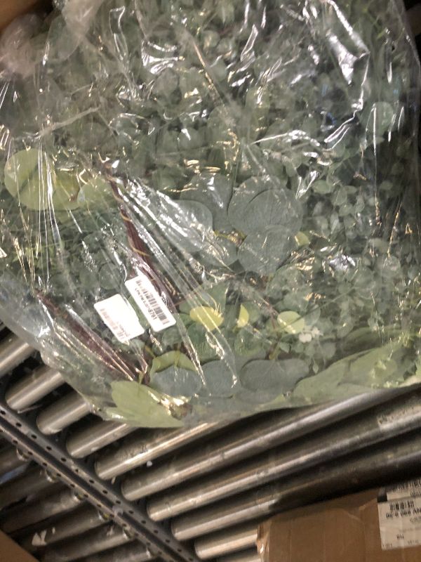 Photo 1 of Ceenna 500 Pcs 6 Kinds Mixed Eucalyptus Leaves Stems Bulk Artificial Eucalyptus Leaves Sprays Silver Dollar Faux Greenery Picks Bundle for Wedding Vase Floral Arrangement Decor