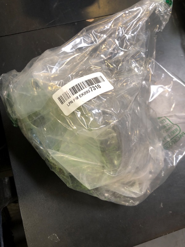 Photo 1 of AULINK 13-509 Water Pump For Yanmar 482/486 Engines Thermo King TK486 TK486E SL100 SL200 11-9499 13509 119499 130509 13-0509