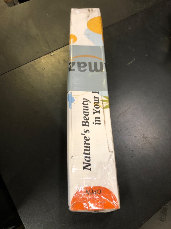 Photo 1 of 10 Pcs Dried Preserved Eucalyptus for Shower ,17" Real Natural Fresh Hanging Eucalyptus Stems,Real Leaves Branches for Vase Filler,Bathroom,Wedding,Dried Flowers Arrangement Decor