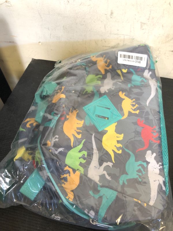Photo 1 of Trail maker Backpack with Lunch Box and Pencil Case for Girls and Boys, 17 Inch Backpacks for Kids for School (Dancing Dinosaurs)