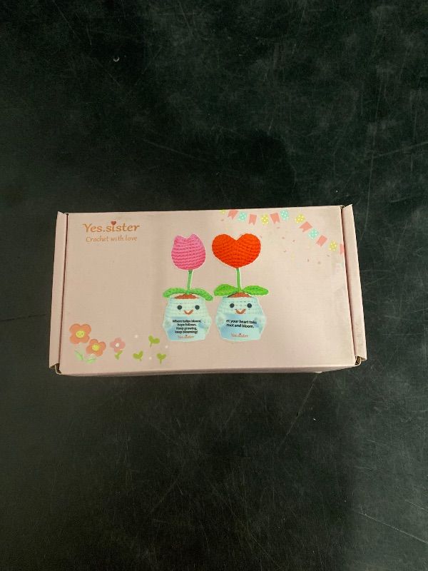 Photo 1 of DIY Crochet Kit Set Of 2 Flowers (Red/Pink), Beginner-Friendly Amigurumi Kit Relaxing Craft For Teens And Adults