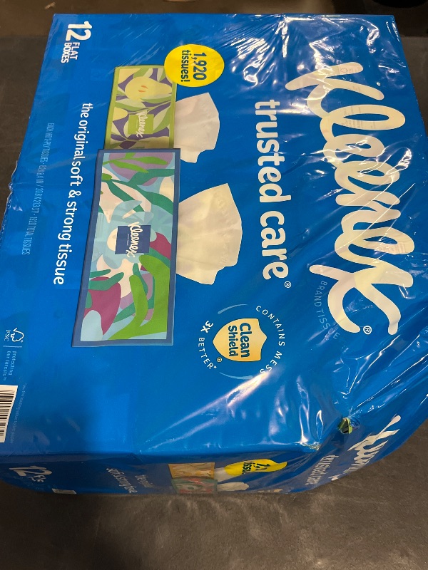 Photo 1 of Kleenex Trusted Care 2-ply Facial Tissues, Flat Boxes (160 tissues/box, 12 boxes)
