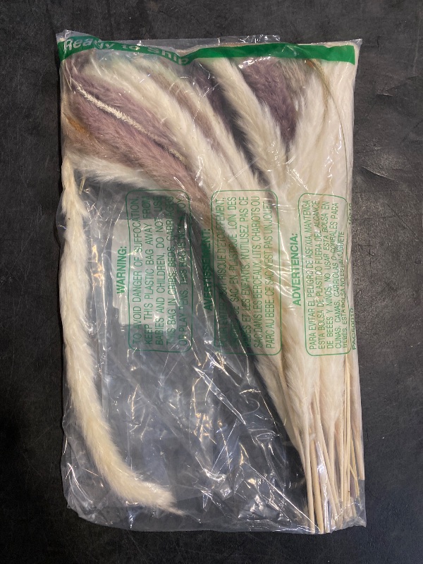 Photo 1 of 70PCS Natural Dried Pampas Grass Boho Home Decor Bouquet Phragmites Dried Flowers Bouquet for Wedding Floral Arrangements Home Decorations (70PCS)