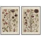 Photo 1 of MUDECOR Framed Canvas Print Wall Art Wildflower Floral Botanical Nature Illustration Modern Art Decorative Multicolor Geometric
