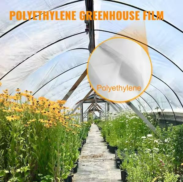 Photo 1 of 32 x 25 ft. Greenhouse Film, Polyethylene Plastic UV Resistant,6 Mil Thickness,Clear Greenhouse Cover,Superior Strength