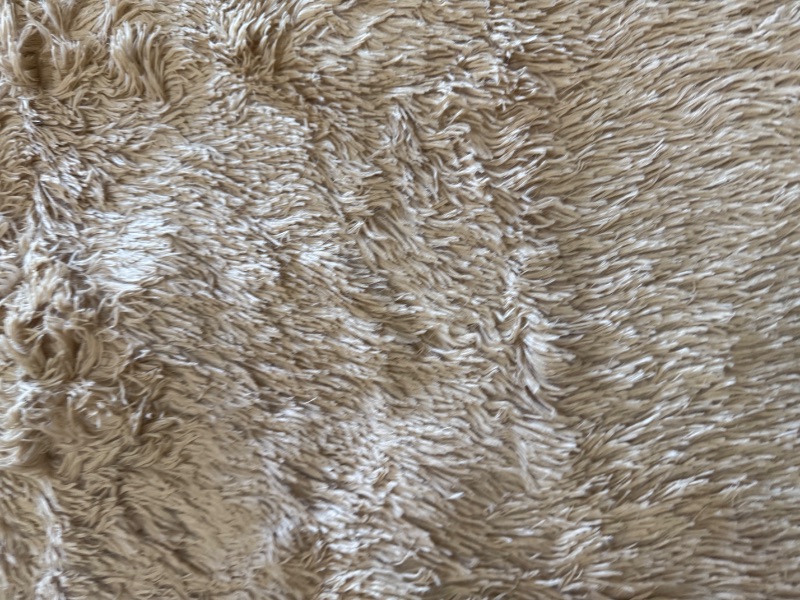 Photo 1 of 10ft x 8ft LOCHAS Soft Indoor Modern Area Rugs Fluffy Carpets for Living Room Bedroom Home Decor Nursery Rug