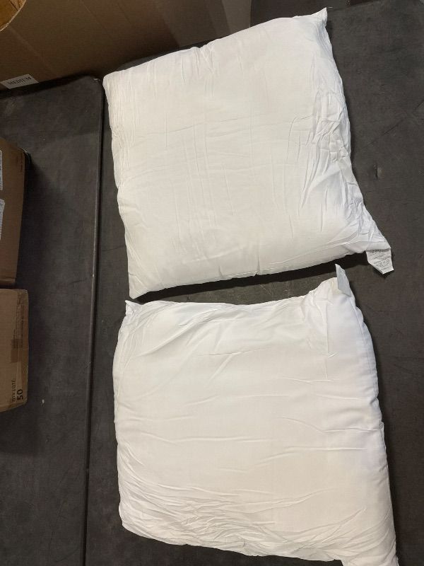 Photo 1 of EDOW Throw Pillow Insert, Set of 2 Down Alternative Polyester Square Form Decorative Pillow, Cushion,Sham Stuffer. (White, 22x22)
