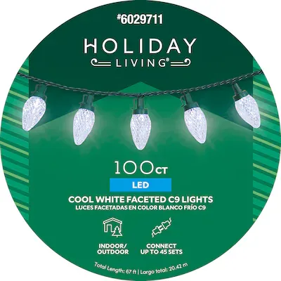 Photo 1 of Holiday Living 100-count 66-ft White LED String Christmas Lights