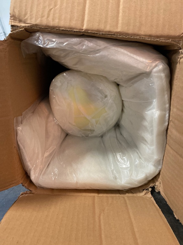 Photo 1 of Modern 22 in. x 25 in. 2-Piece Deep Seating Outdoor Lounge Chair Cushion Set in Beige (2-Piece)
