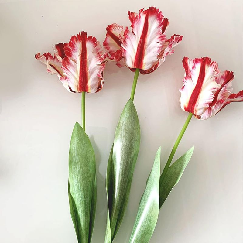 Photo 1 of 5 Pcs Artificial Tulip Flowers Stems, Spring Summer Fake Silk Parrot Tulip Flowers Branches, Faux Tulips Greenery Vase Filler for Wedding Bridal Bouquet Party Garden Home Decor (Pink)
