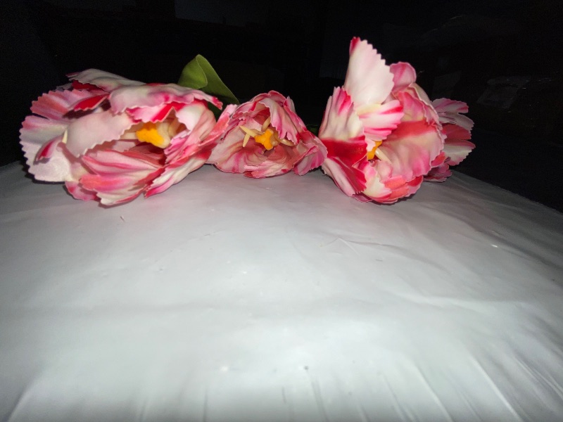 Photo 1 of 5 Pcs Artificial Tulip Flowers Stems, Spring Summer Fake Silk Parrot Tulip Flowers Branches, Faux Tulips Greenery Vase Filler for Wedding Bridal Bouquet Party Garden Home Decor (Pink)
