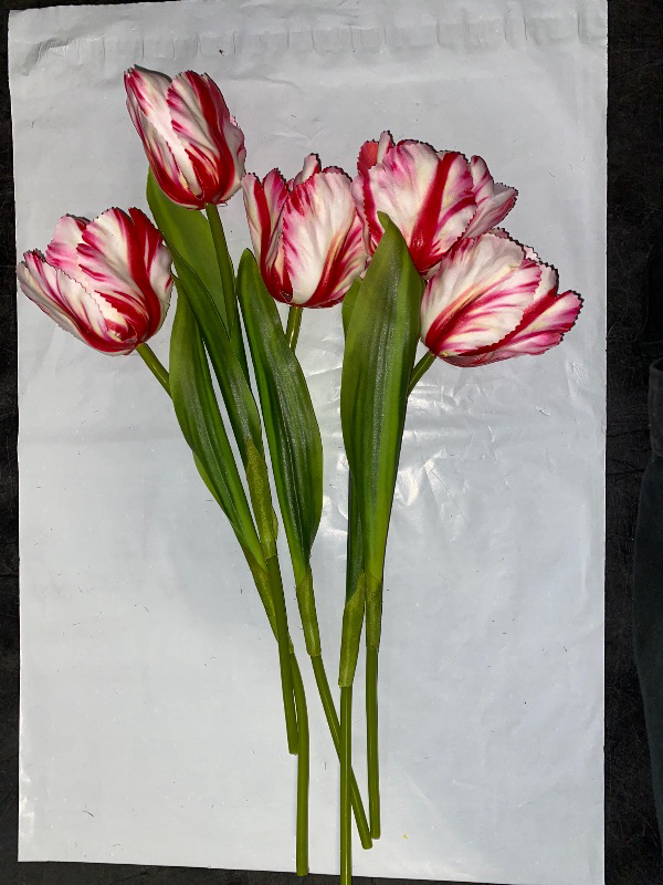 Photo 1 of 5 Pcs Artificial Tulip Flowers Stems, Spring Summer Fake Silk Parrot Tulip Flowers Branches, Faux Tulips Greenery Vase Filler for Wedding Bridal Bouquet Party Garden Home Decor (Pink)
