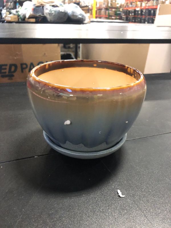 Photo 1 of small plant pot