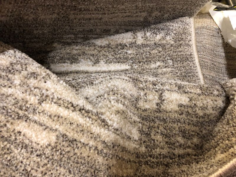Photo 1 of XL Area Rug