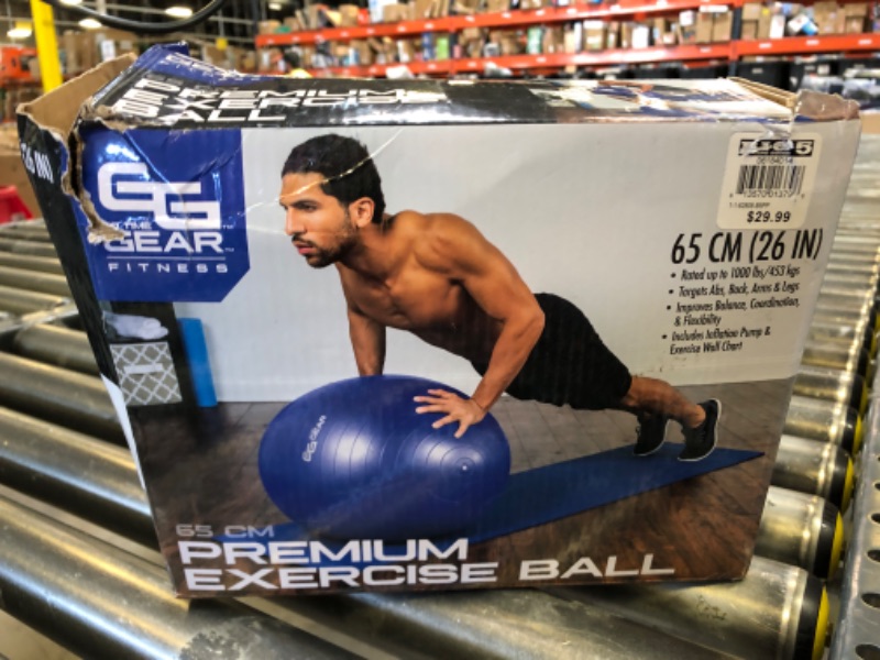 Photo 1 of Exercise Ball
