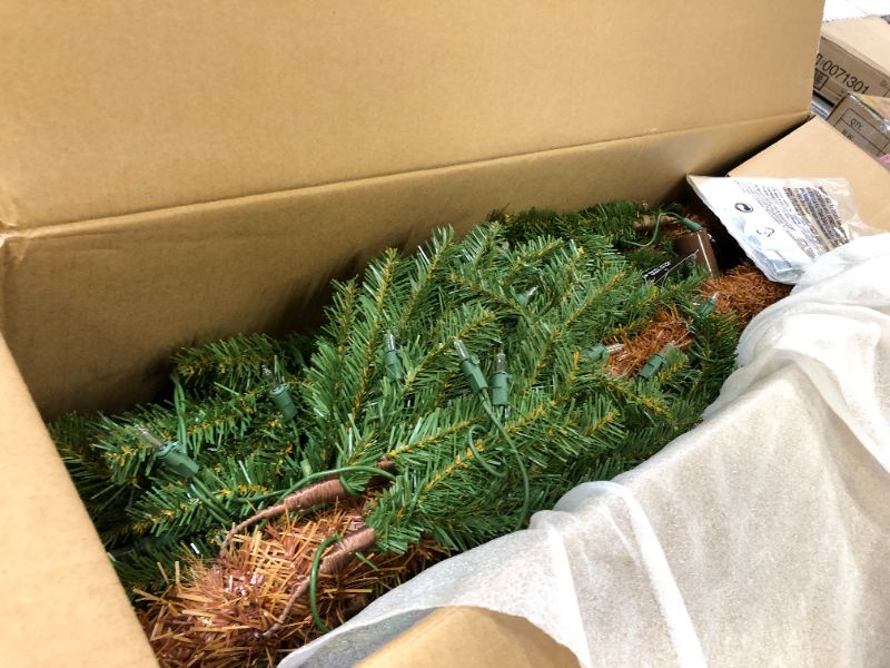 Photo 1 of National Tree CED7-60LO-S Tree, 6 ft, Green