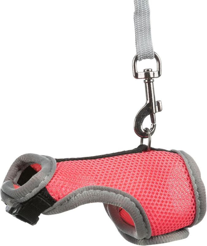 Photo 1 of TRIXIE Pet Products 61511 1.20 m Rat Soft Harness with Leash-Nylon, Various, 12-18cm, Gray, Small