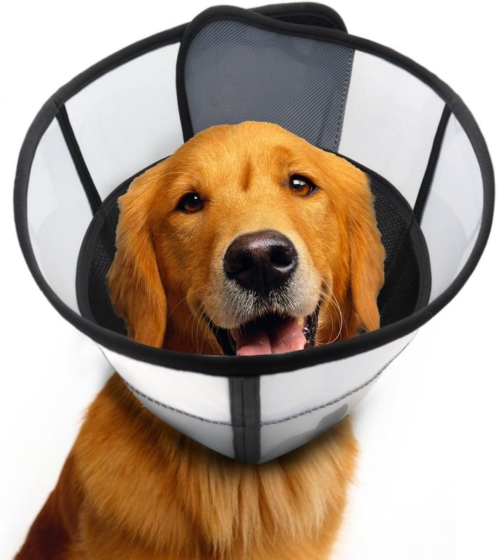 Photo 1 of Soft Dog Cone for Dogs After Surgery, Breathable Pet Recovery Collar for Large Medium Dogs, Adjustable Dog Cone Collar, Elizabethan Collar (L, Black)