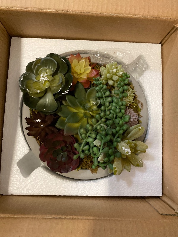 Photo 1 of MyGift 8 Inch Round Modern Artificial Succulent Arrangement Potted in Gray Concrete Plant Bowl, Assorted Faux Mini Succulents in a Decorative Planter Pot