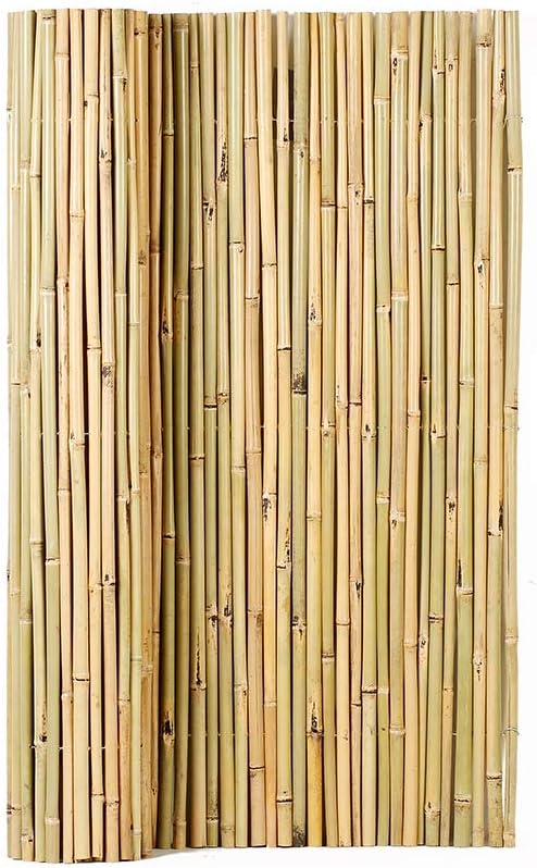 Photo 1 of Mininfa Natural Rolled Bamboo Fence, Eco-Friendly Bamboo Fencing, 4 ft High x 6 ft Long