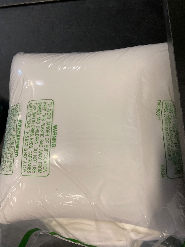 Photo 1 of AM AEROMAX 16 ×16 Pillow Insert (Pack of 2) Memory Foam Throw Pillow Insert Sham Square for Decorative Cushion Bed Couch Sofa Without Deform After Longtime Use