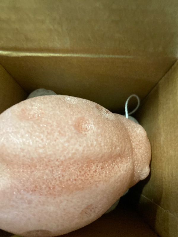Photo 1 of MoHern Konjac Baby Sponge for Bathing, 5Pcs Natural Cute Shapes, Kids Bath sponges for Infants, Toddler Bath time, Plant-Based, Extra Soft