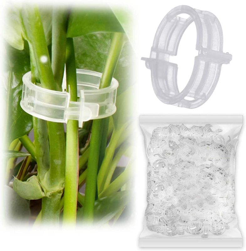 Photo 1 of 200 Pcs Plant Support Garden Clips for Securing Climbing Healthier Tomato Plants in White - Ideal for Flower Vine Vegetables Orchid?Assist Plants in Growing Upward and clustering Together.