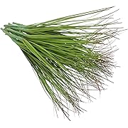 Photo 1 of 12pcs Realistic Artificial Tall Grass Plants Faux Greenery for Outdoor Indoor Decor Plants for Garden Porch Home Office Decoration